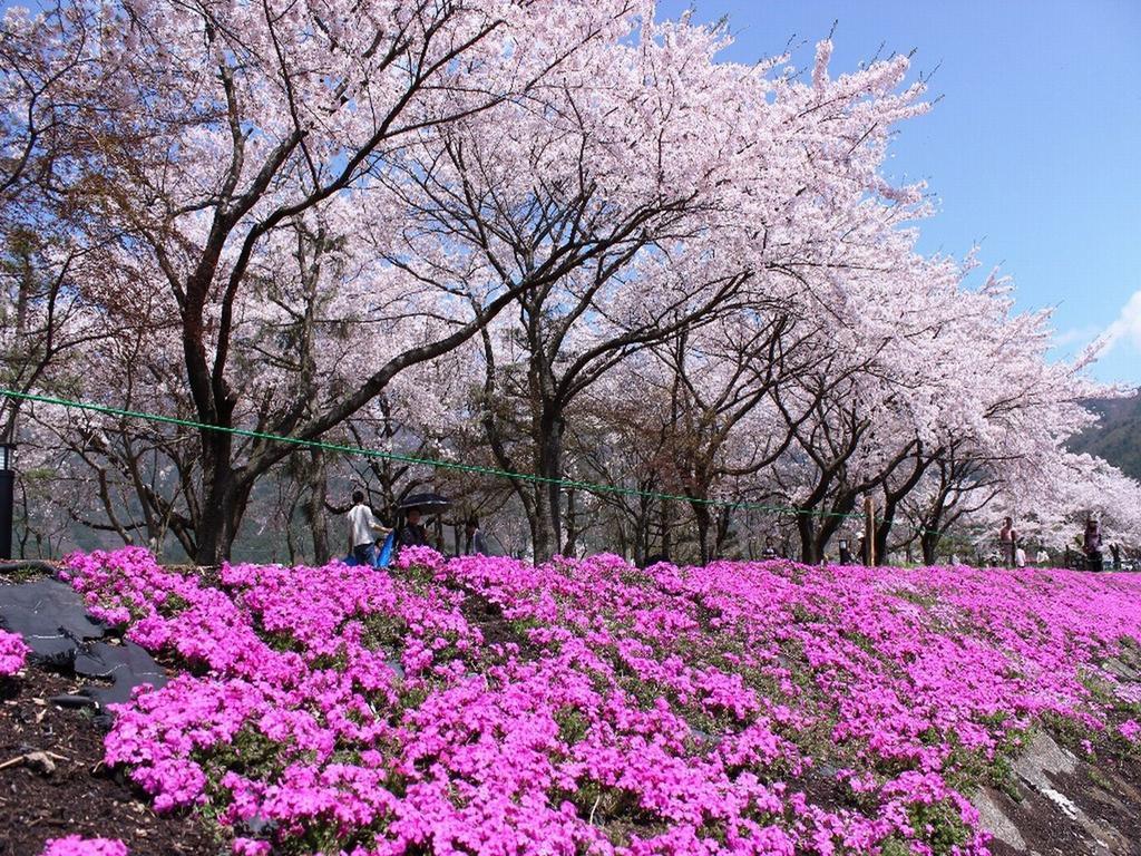 Отель Fujikawaguchiko Crescendo Экстерьер фото