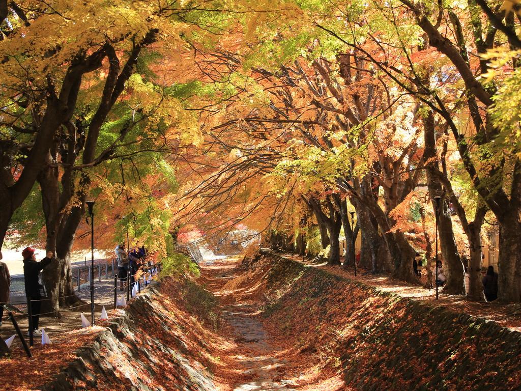 Отель Fujikawaguchiko Crescendo Экстерьер фото